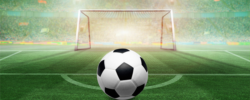 的成功案例 的成功案例